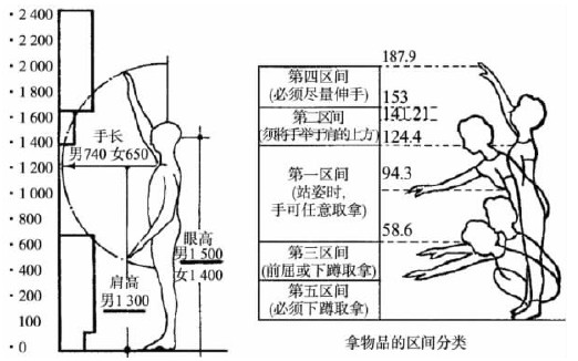 人體活動(dòng)與室內(nèi)空間尺度